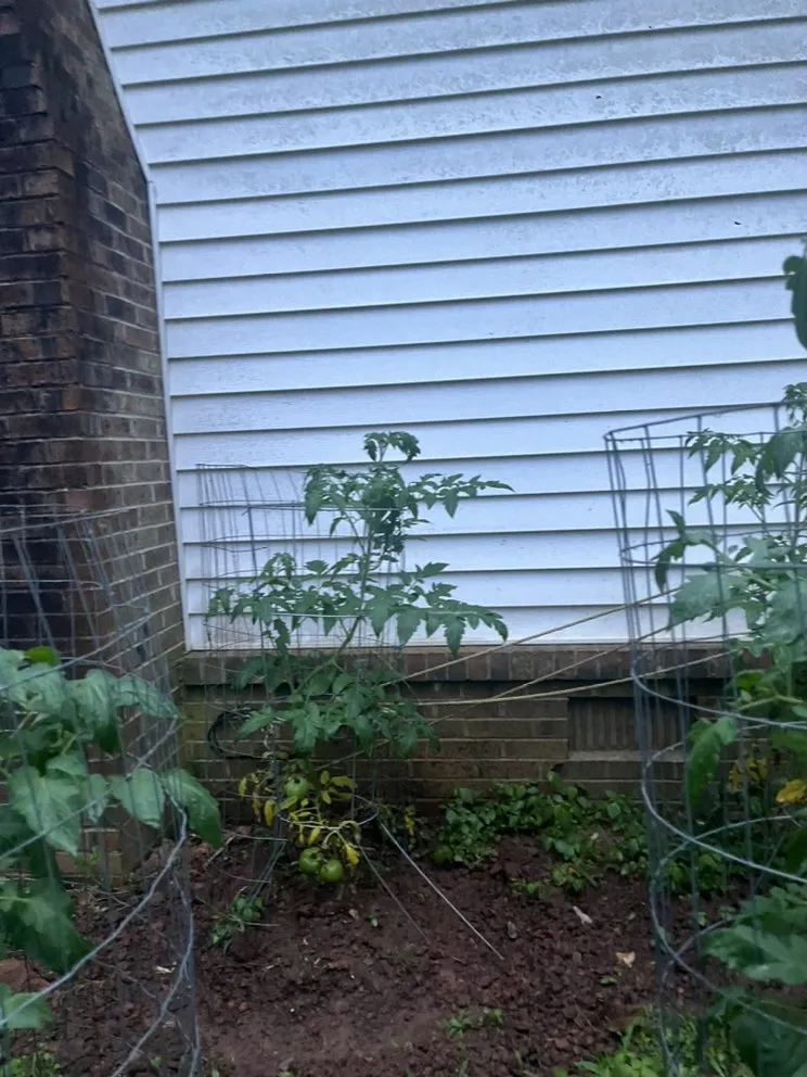 Reliable landscaping services for homes across Dacula, GA - Lulu landscape of Dacula