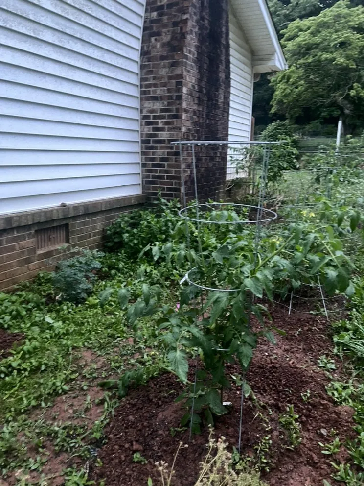 Professional outdoor landscaping in Dacula, GA - Lulu landscape of Dacula