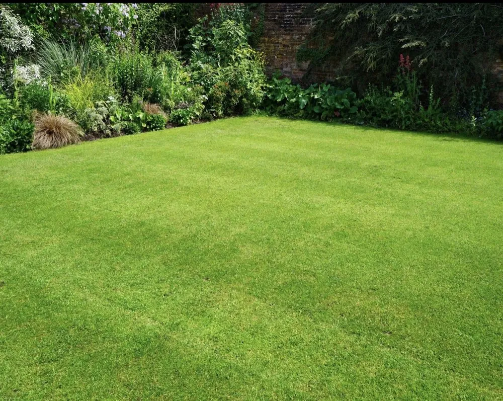 Custom residential landscaping experts serving Dacula, GA - Lulu landscape of Dacula