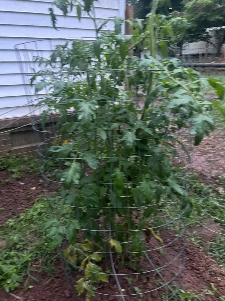 Top-rated outdoor landscaping in Dacula, GA by Lulu landscape of Dacula