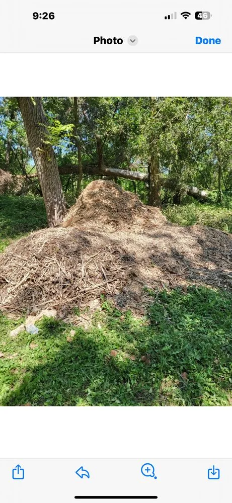 Trusted lawn mowing service for outdoor upgrades in Brazoria, TX by Lumans Log Away