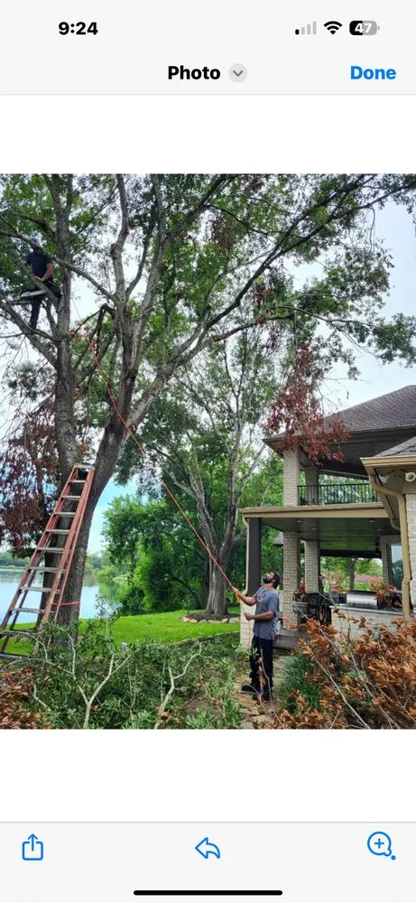 Trusted lawn mowing service near you across Brazoria, TX - Lumans Log Away