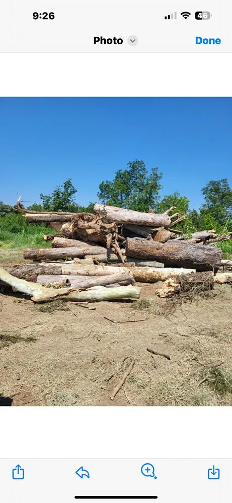 Professional lawn mowing service in Brazoria, TX by Lumans Log Away