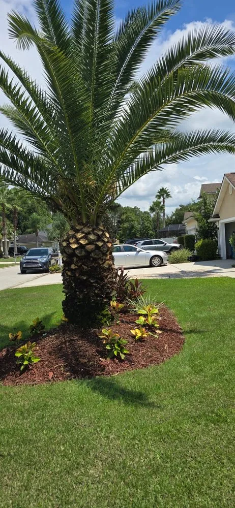 Expert outdoor landscaping near you in Jacksonville, FL by Lumaranto Services