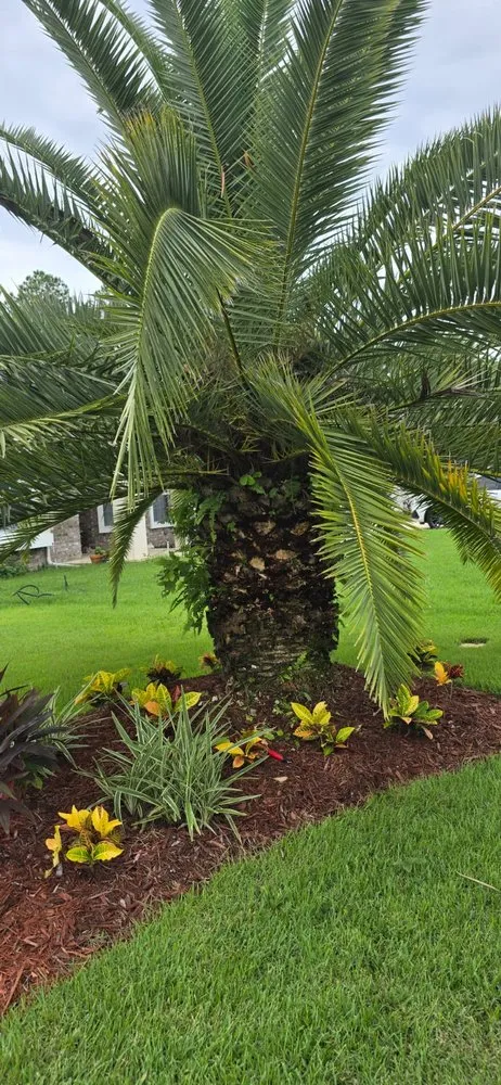 Trusted garden landscaping in Jacksonville, FL by Lumaranto Services