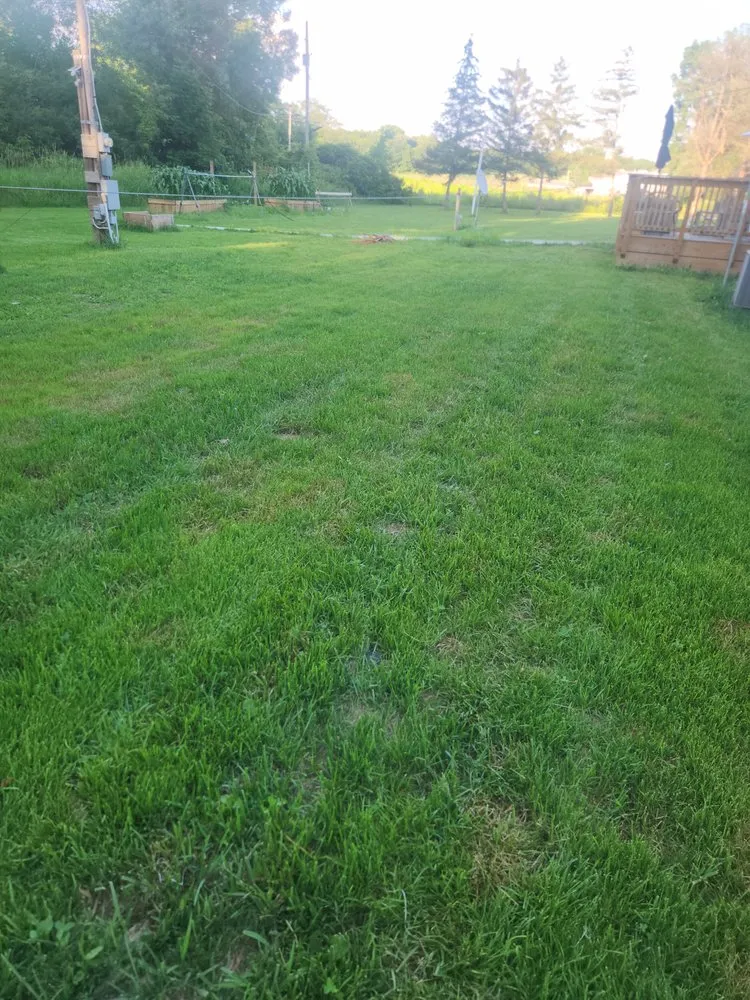 Custom yard cleanup service in Onsted, MI by Lumbee Lawn Maintenance