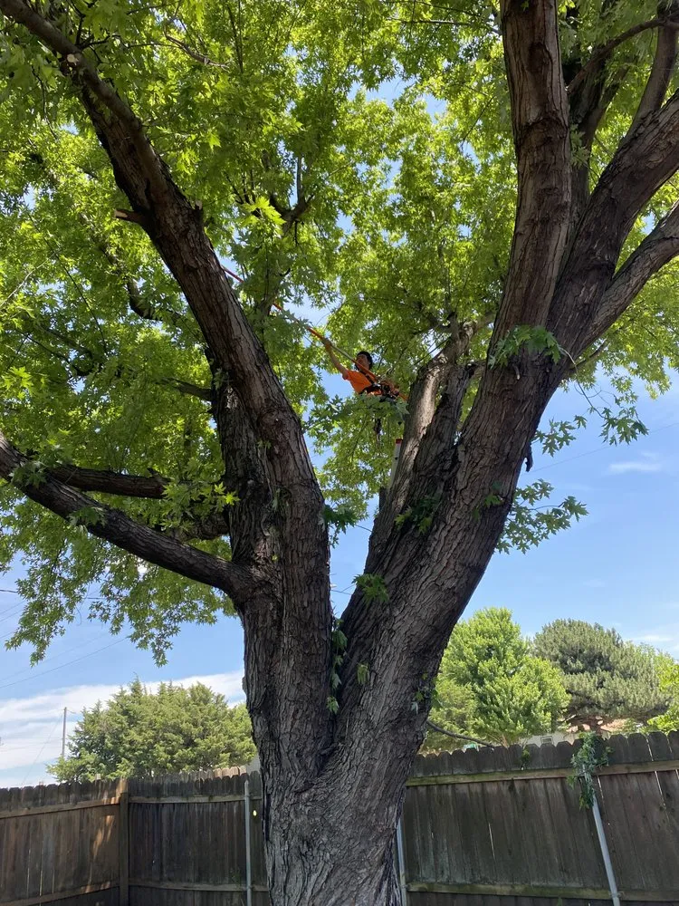 Trusted landscape installation for year-round maintenance across El Dorado, KS - Lumber Jacksons