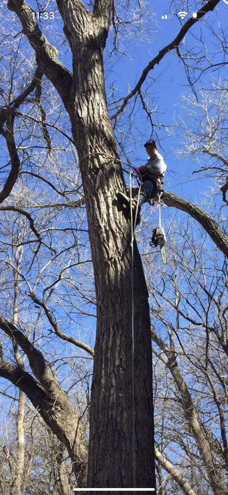 Local residential landscaping experts serving El Dorado, KS - Lumber Jacksons