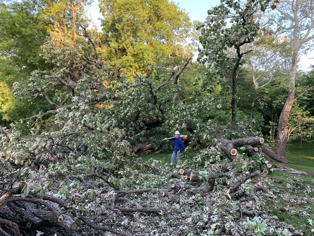 Affordable yard maintenance experts serving El Dorado, KS - Lumber Jacksons