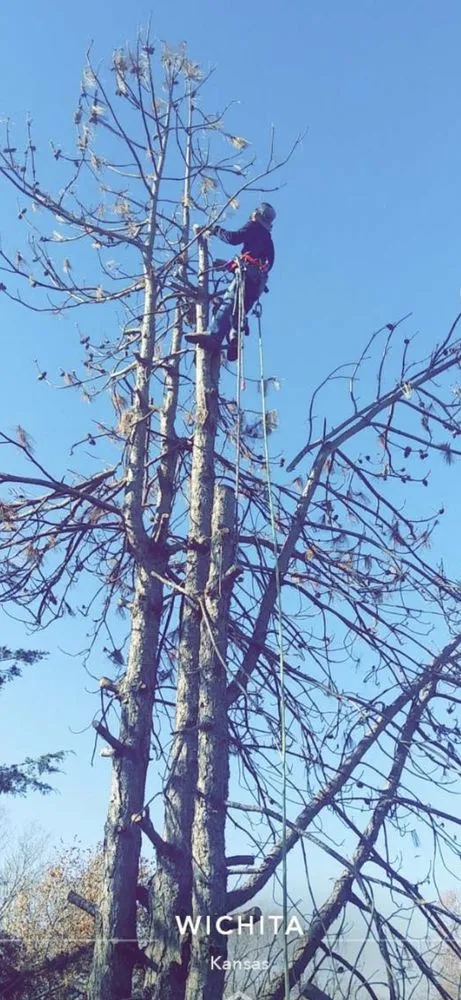 Reliable yard maintenance experts serving El Dorado, KS - Lumber Jacksons