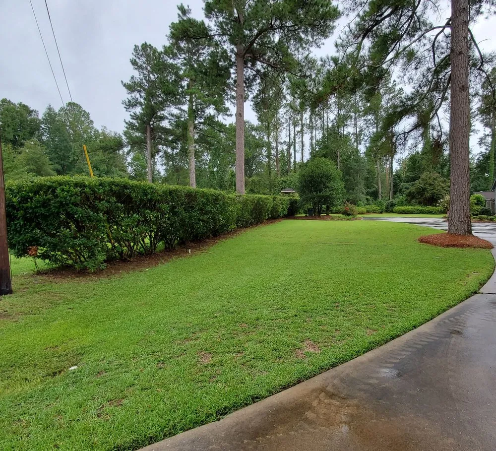 Local yard cleanup service experts serving Augusta, GA - Lumberjack Lawn Services
