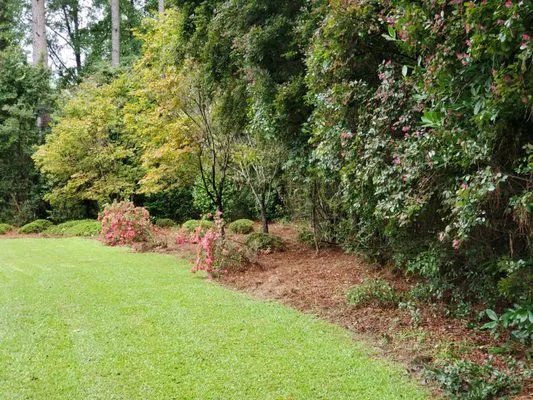 Lumberjack Lawn Services Logo