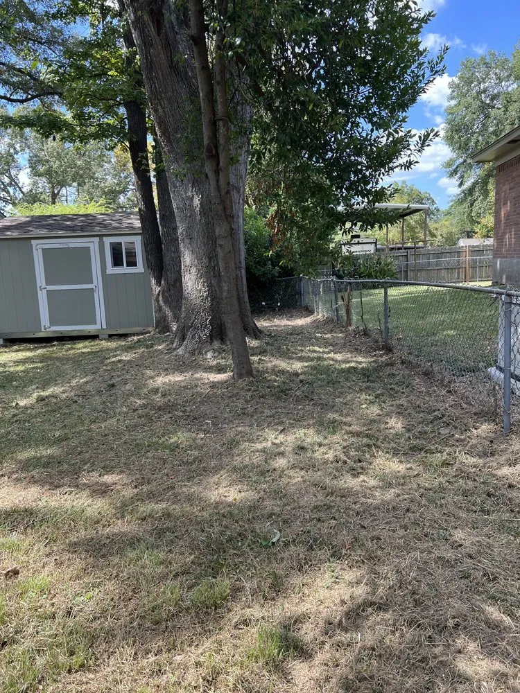 Custom yard cleanup service in Longview, TX by Lumberjack Lawncare and Tree Service