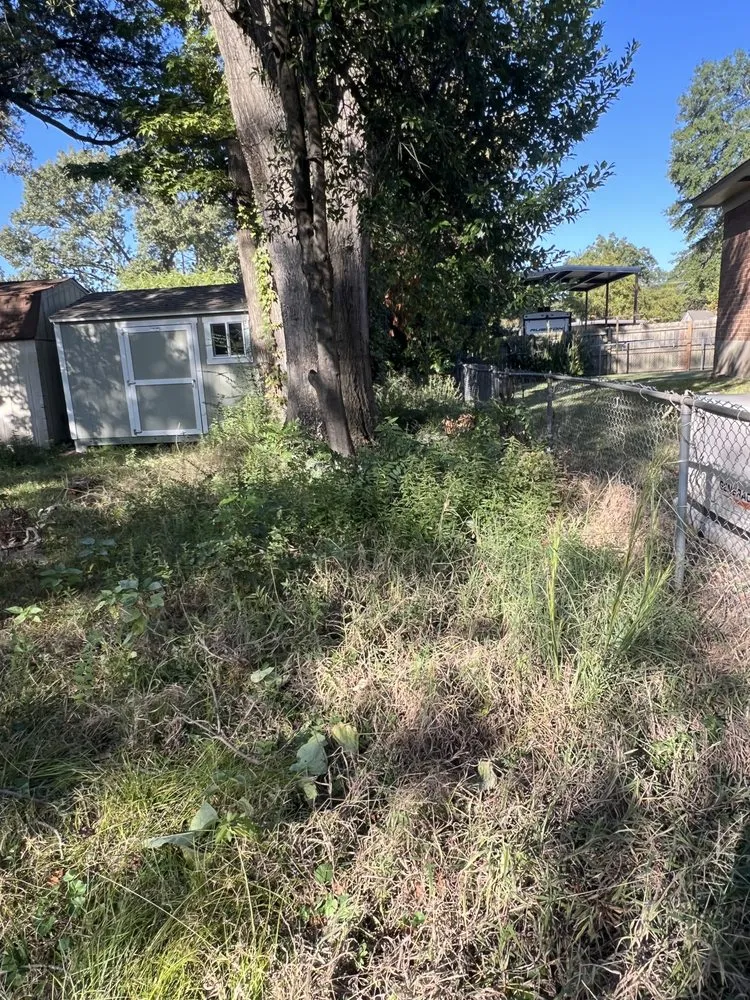 Reliable landscaping services for beautiful yards across Longview, TX - Lumberjack Lawncare and Tree Service