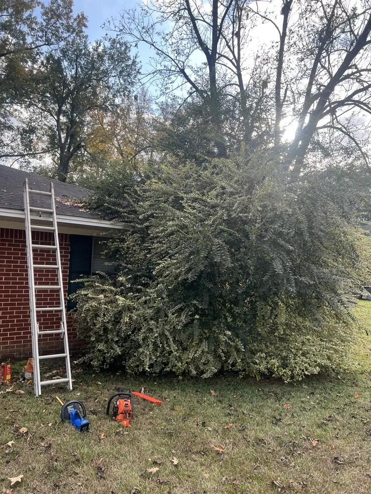 Trusted yard cleanup service for beautiful yards in Longview, TX by Lumberjack Lawncare and Tree Service