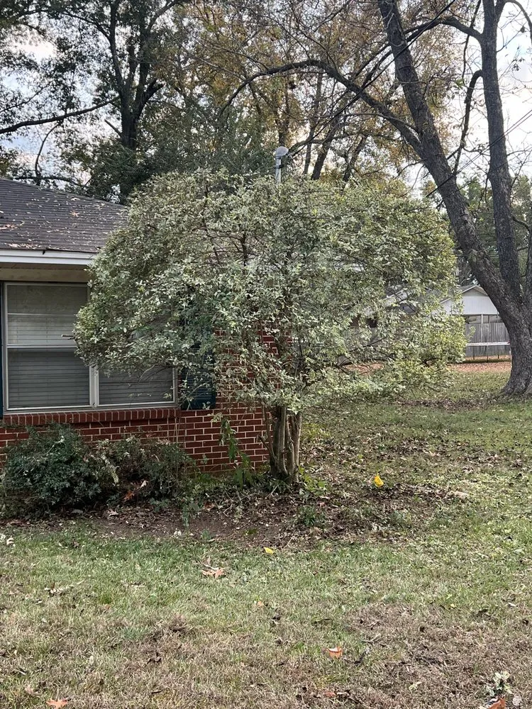 Local garden landscaping for beautiful yards across Longview, TX - Lumberjack Lawncare and Tree Service