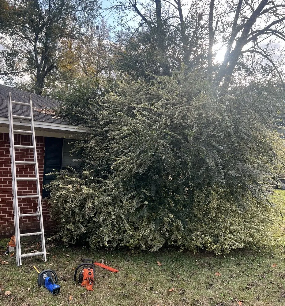 Expert outdoor landscaping with custom design across Longview, TX - Lumberjack Lawncare and Tree Service