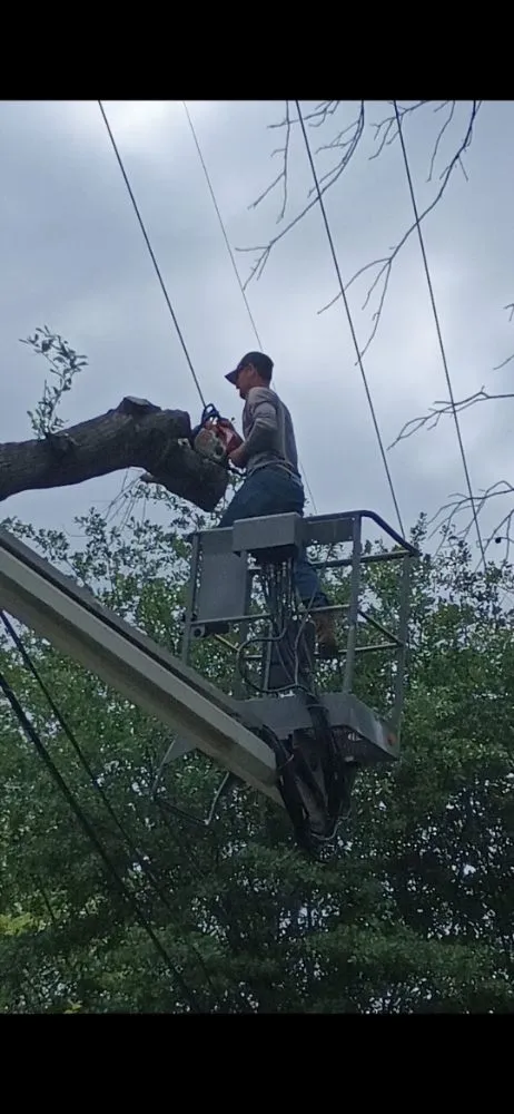 Expert yard maintenance for outdoor upgrades across Terrell, TX - Lumberjack Max