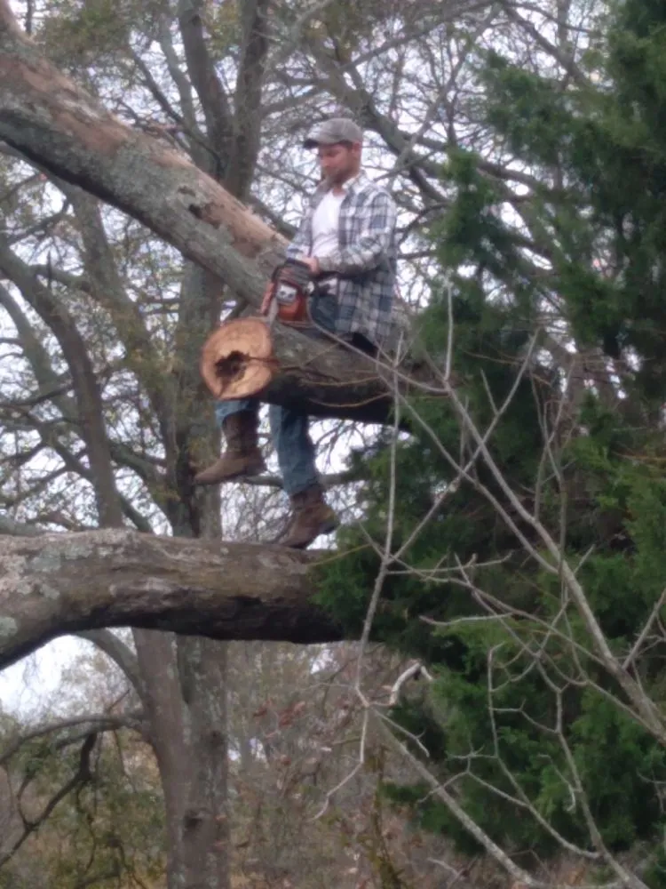 Professional residential landscaping for year-round maintenance in Terrell, TX by Lumberjack Max