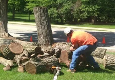 Professional lawn mowing service for year-round maintenance across Bondville, IL - Lumberjack Tree Service