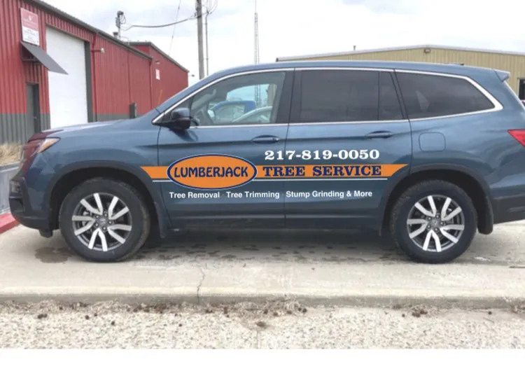 Trusted yard cleanup service for homes in Bondville, IL by Lumberjack Tree Service