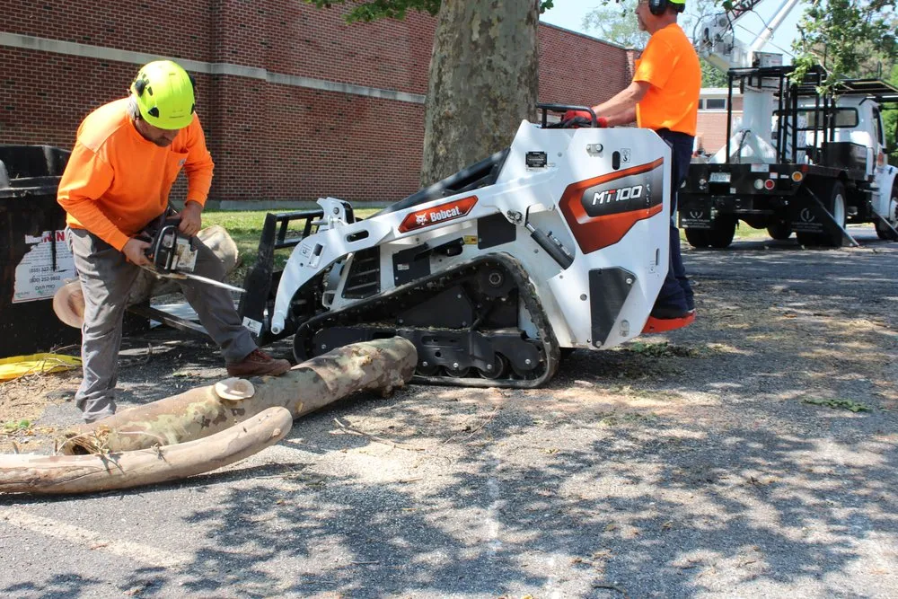 Custom lawn care service in Bondville, IL by Lumberjack Tree Service