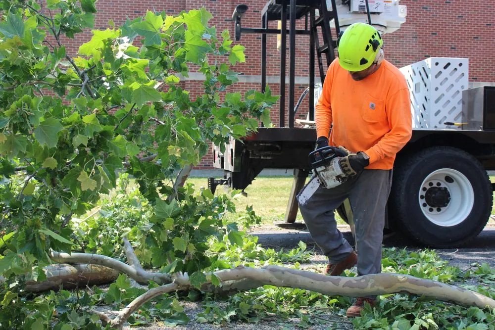 Reliable garden landscaping for year-round maintenance across Bondville, IL - Lumberjack Tree Service