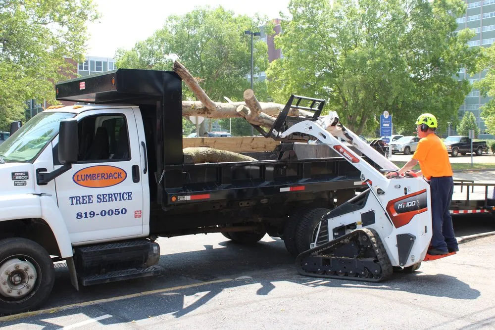 Custom landscaping services for residential properties across Bondville, IL - Lumberjack Tree Service