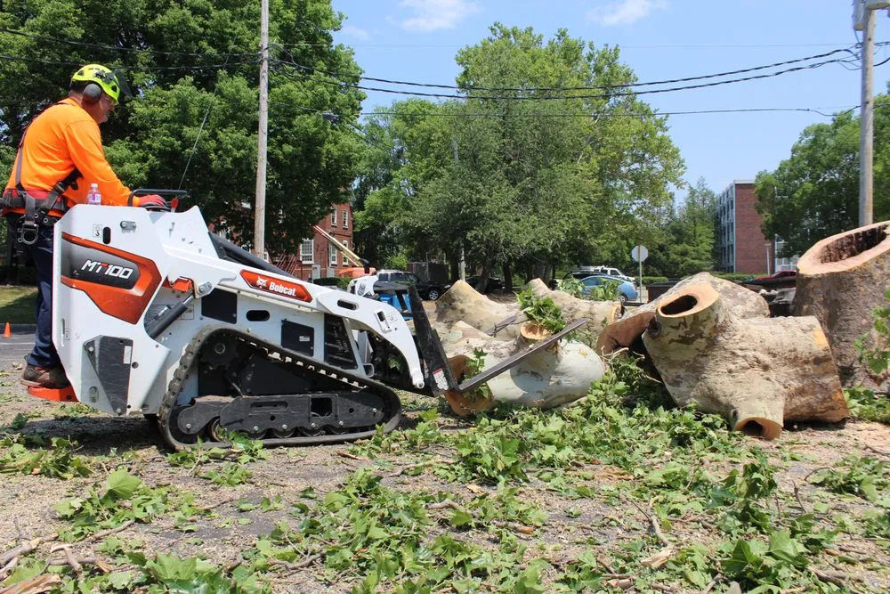 Expert lawn mowing service in Bondville, IL by Lumberjack Tree Service