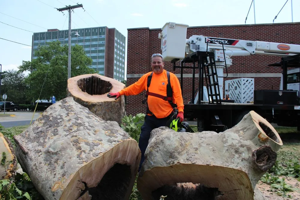 Professional residential landscaping in Bondville, IL - Lumberjack Tree Service