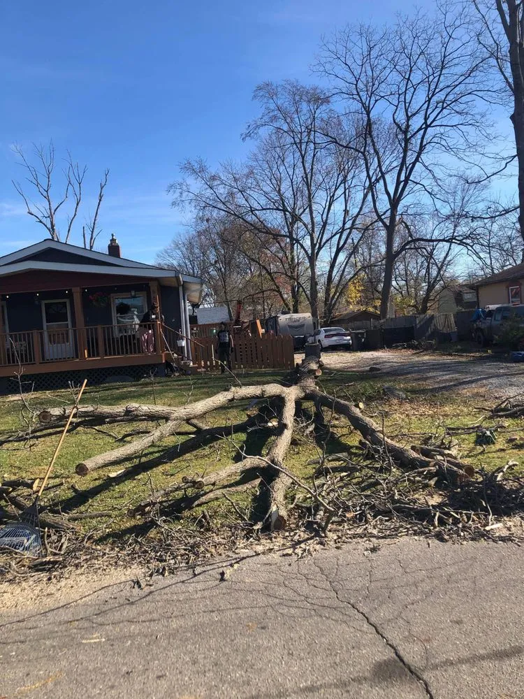 Trusted outdoor landscaping for outdoor upgrades across Indianapolis, IN - Lumberjack Zack