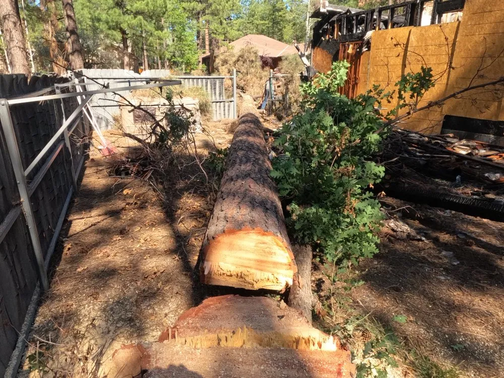 Top-rated landscaping services for residential properties across Payson, AZ - Lumberjacks