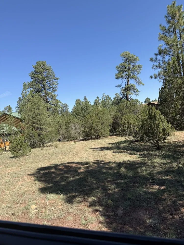 Affordable residential landscaping for homes across Payson, AZ - Lumberjacks