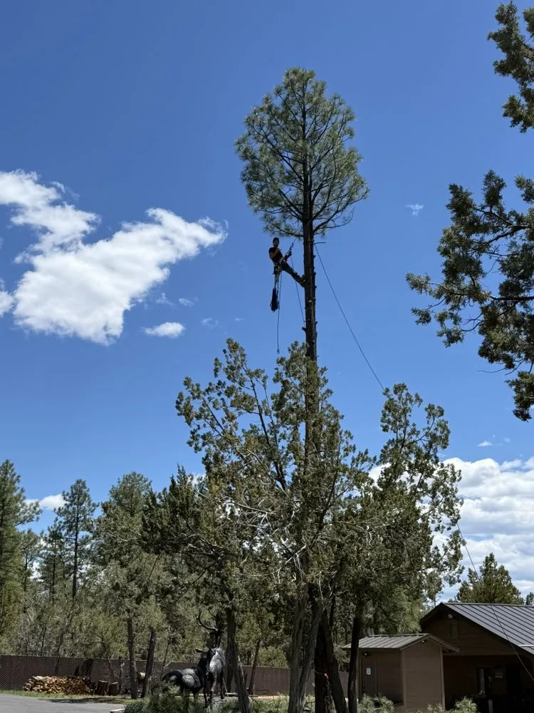 Professional garden landscaping in Payson, AZ by Lumberjacks