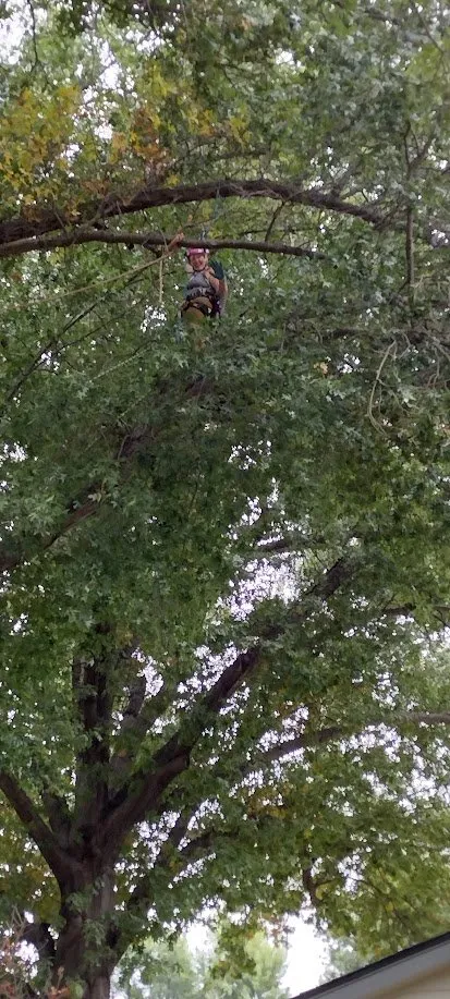 Local garden landscaping with custom design in Norman, OK by Lumberjane Tree Services