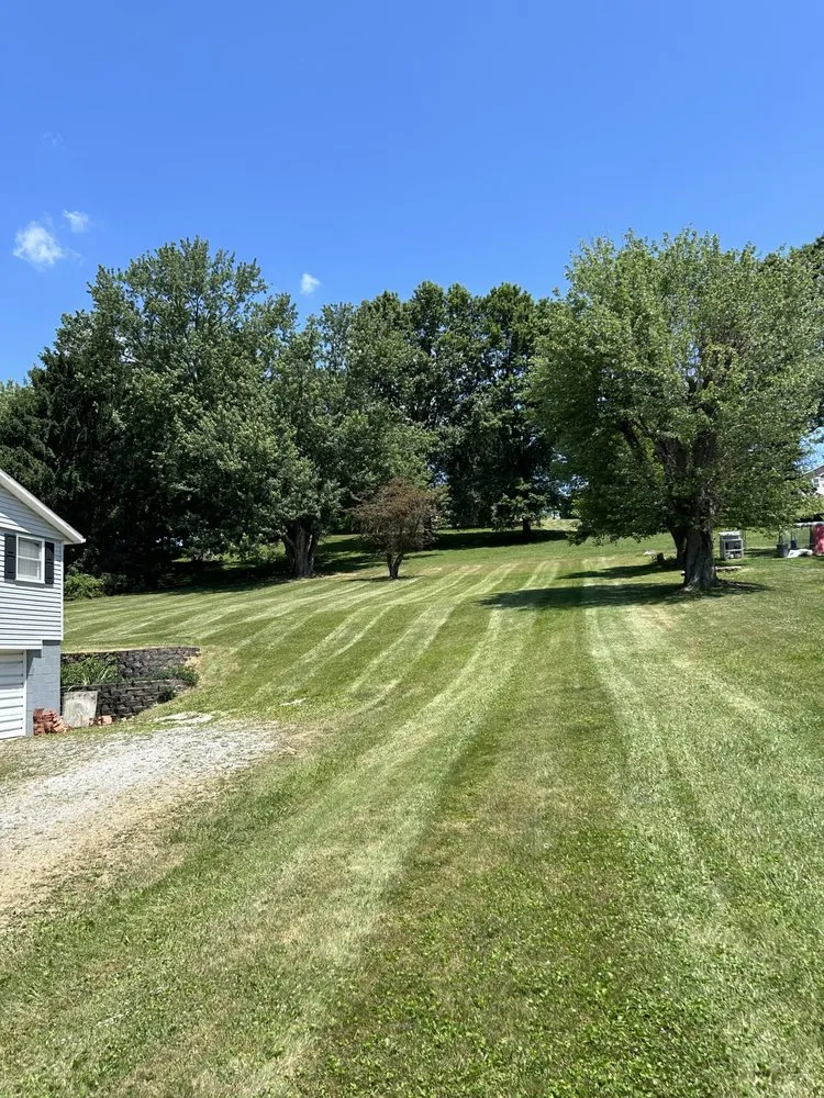 Affordable yard maintenance for outdoor upgrades in Bethesda, OH by Lumberjaxe mowing