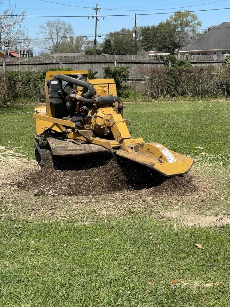 Reliable yard cleanup service in Lumberton, TX by Lumberton Lawn Care