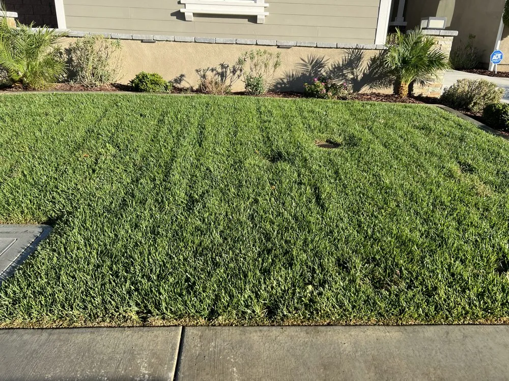 Reliable landscape installation in Lake Elsinore, CA - Lumiflow