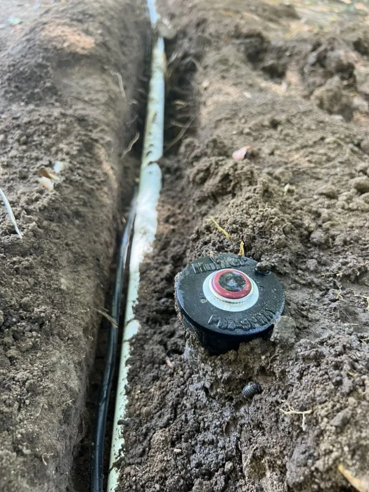 Affordable yard maintenance in Lake Elsinore, CA - Lumiflow