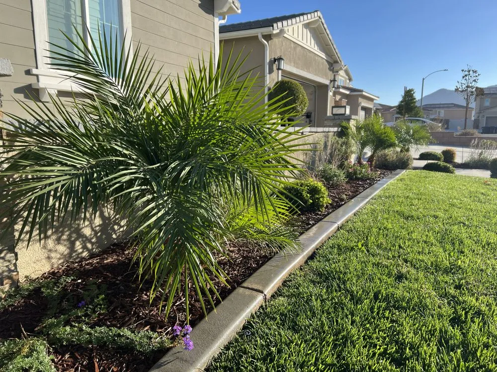 Custom landscape design near you across Lake Elsinore, CA - Lumiflow