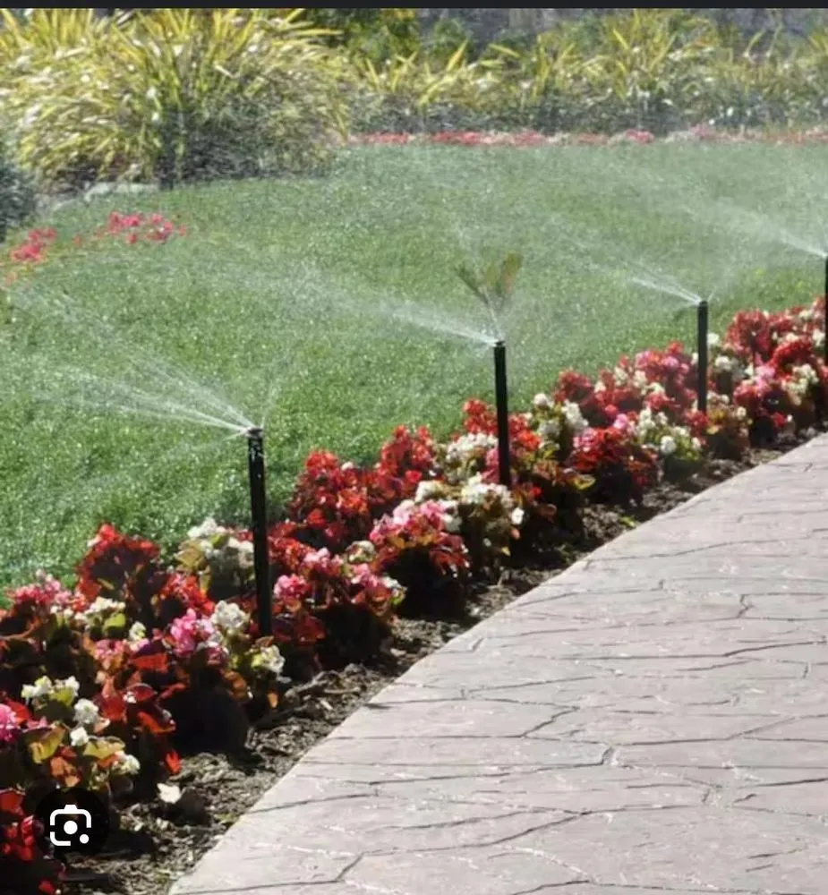 Trusted landscape design in Lake Elsinore, CA - Lumiflow