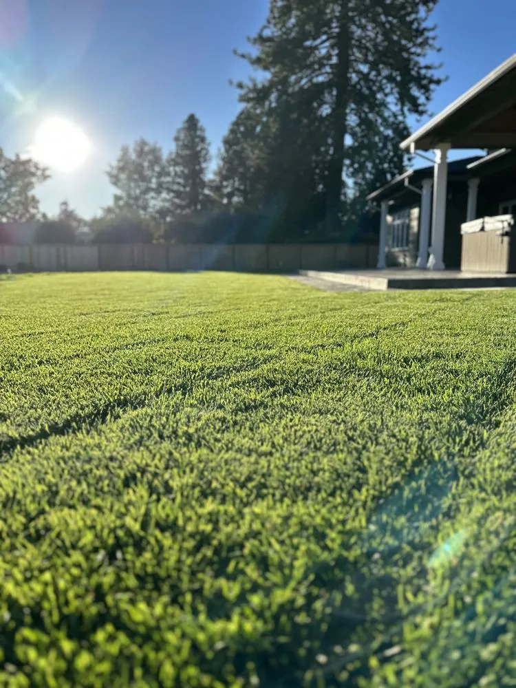 Local landscape installation in Sherwood, OR - Lumin Landscape