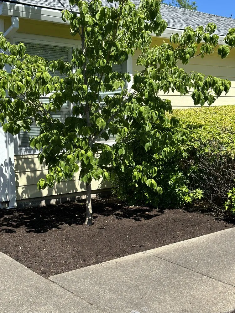 Top-rated landscape design with custom design across Sherwood, OR - Lumin Landscape