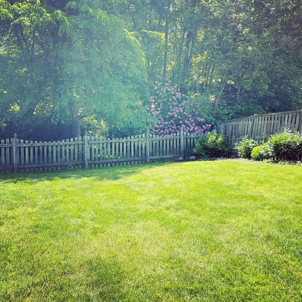 Affordable yard maintenance for residential properties across Bel Air, MD - Luminary Lawns