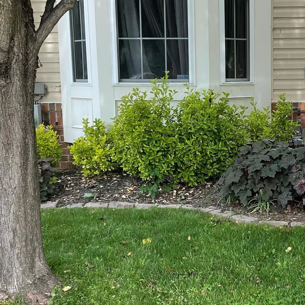 Expert residential landscaping in Bel Air, MD by Luminary Lawns