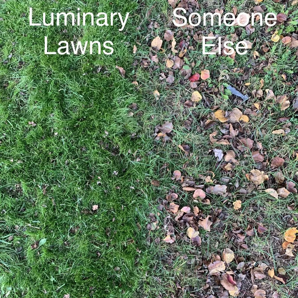 Reliable yard maintenance in Bel Air, MD by Luminary Lawns