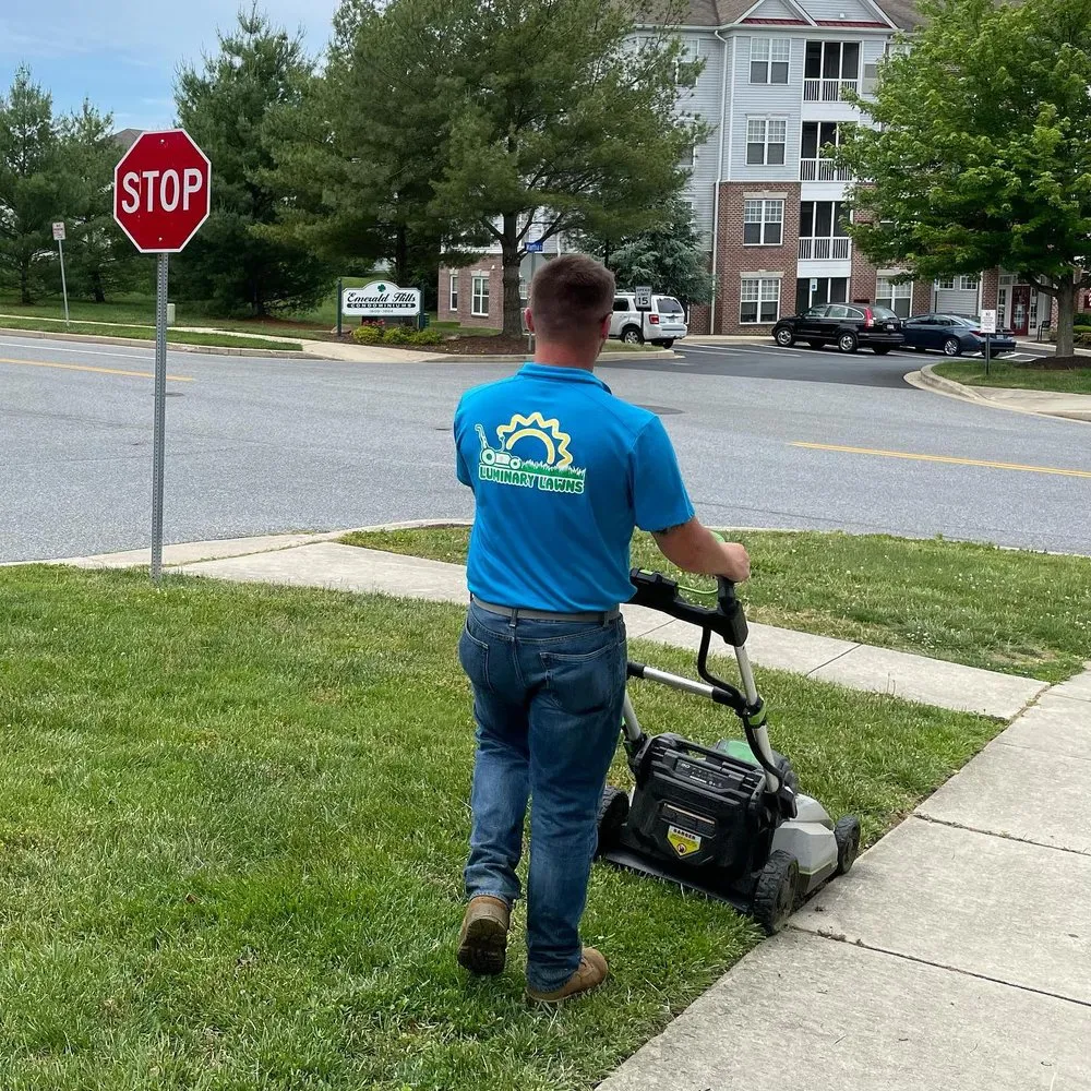 Top-rated residential landscaping for residential properties in Bel Air, MD by Luminary Lawns