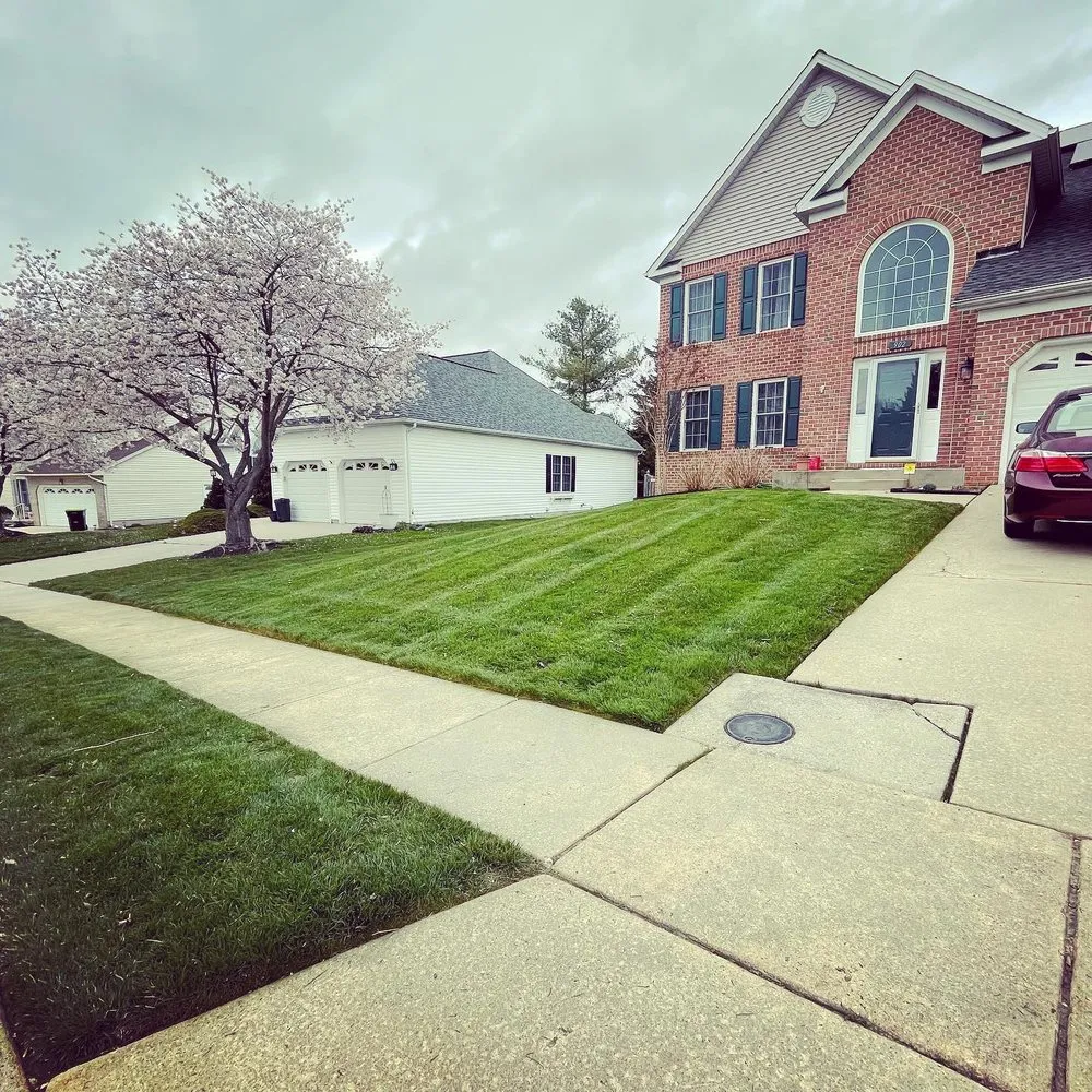 Top-rated landscape installation experts serving Bel Air, MD - Luminary Lawns