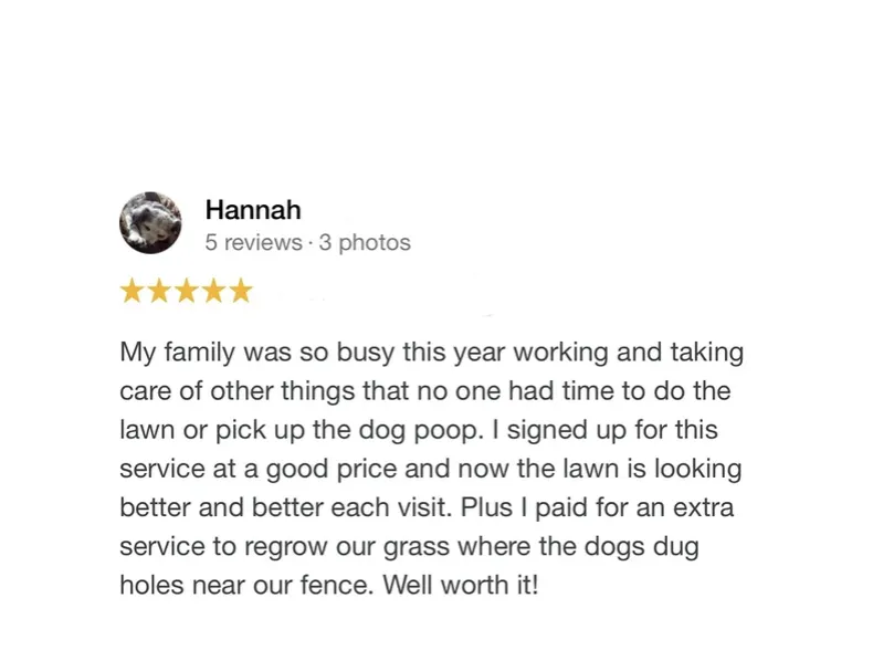 Top-rated garden landscaping experts serving Bel Air, MD - Luminary Lawns