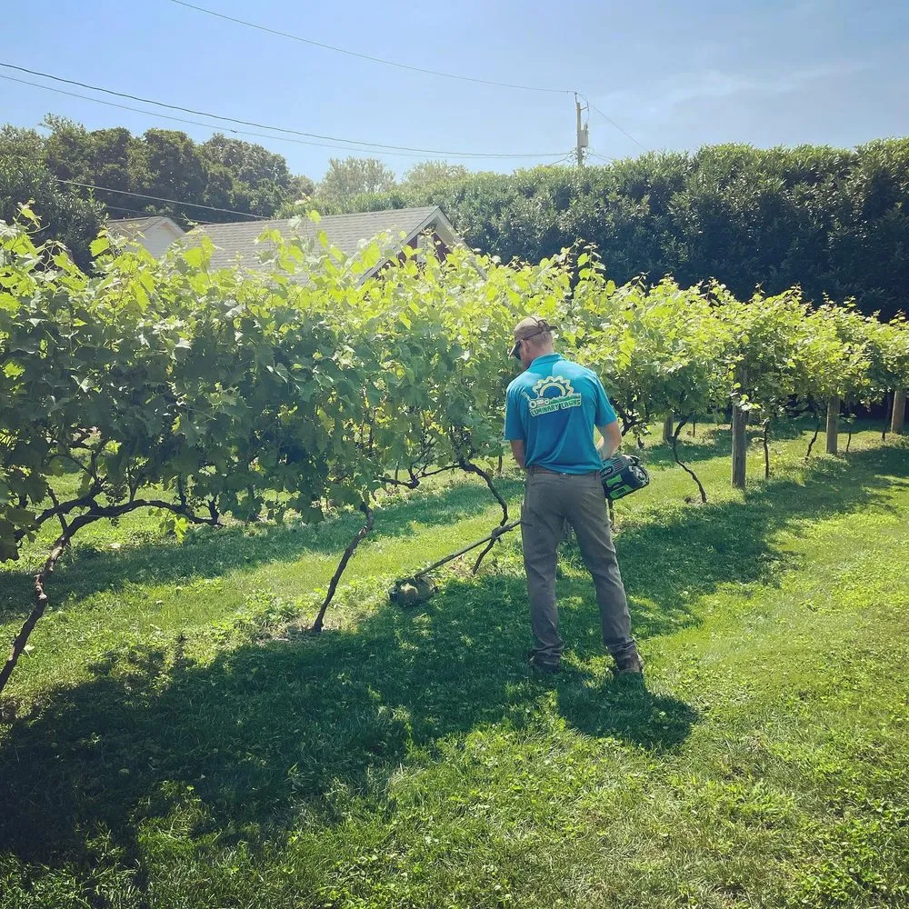 Trusted outdoor landscaping in Bel Air, MD - Luminary Lawns